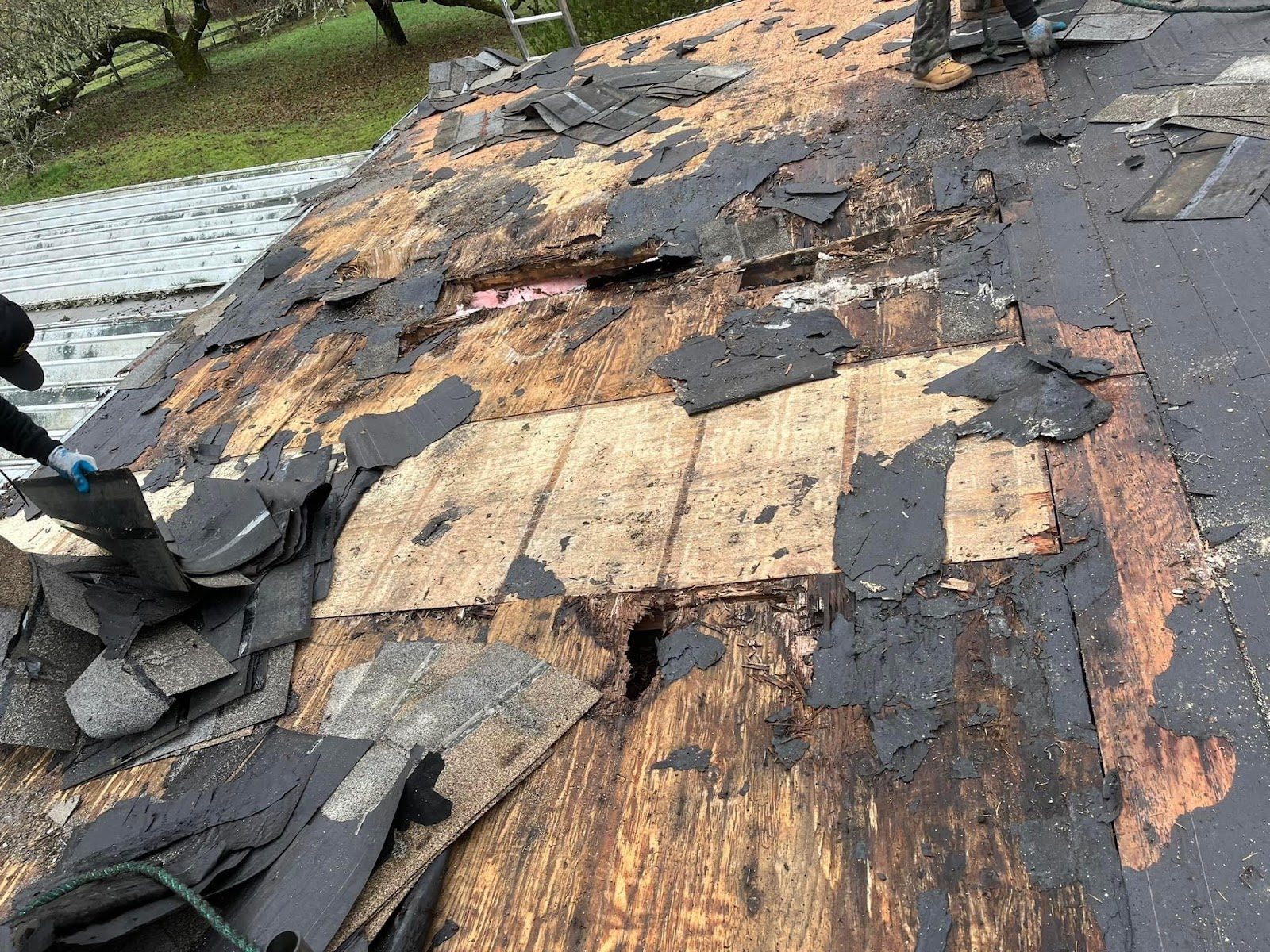 Rotted roof decking exposed during tear-off before replacement